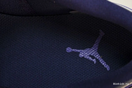 Low 1 Sky Jordan Purple J 0912